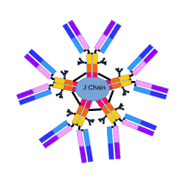 Mouse monoclonal-Anti- Corticotropin Releasing Hormone Binding Protein (CRHBP)-20ug
